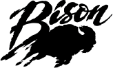 Bison